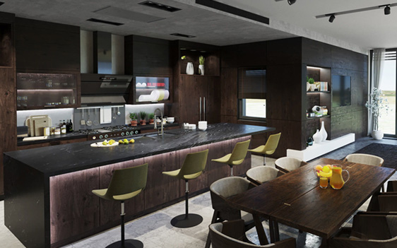 Modern interior with wenge cabinets. 